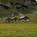 Photo n°2 de l'avis de Giorgi.a fait le 15/07/2019 à 08:36 sur le  Hochalpenhütte Fojedöra à Mareo