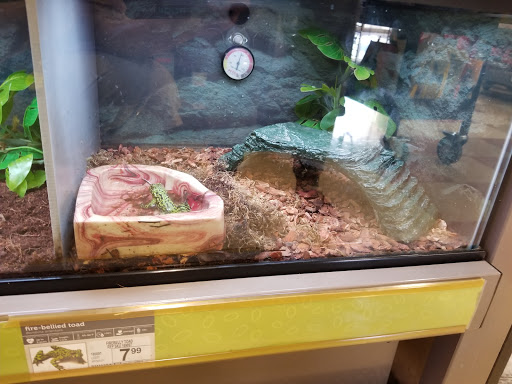 Pet Supply Store «Petco Animal Supplies», reviews and photos, 317 E Trenton Rd, Edinburg, TX 78539, USA