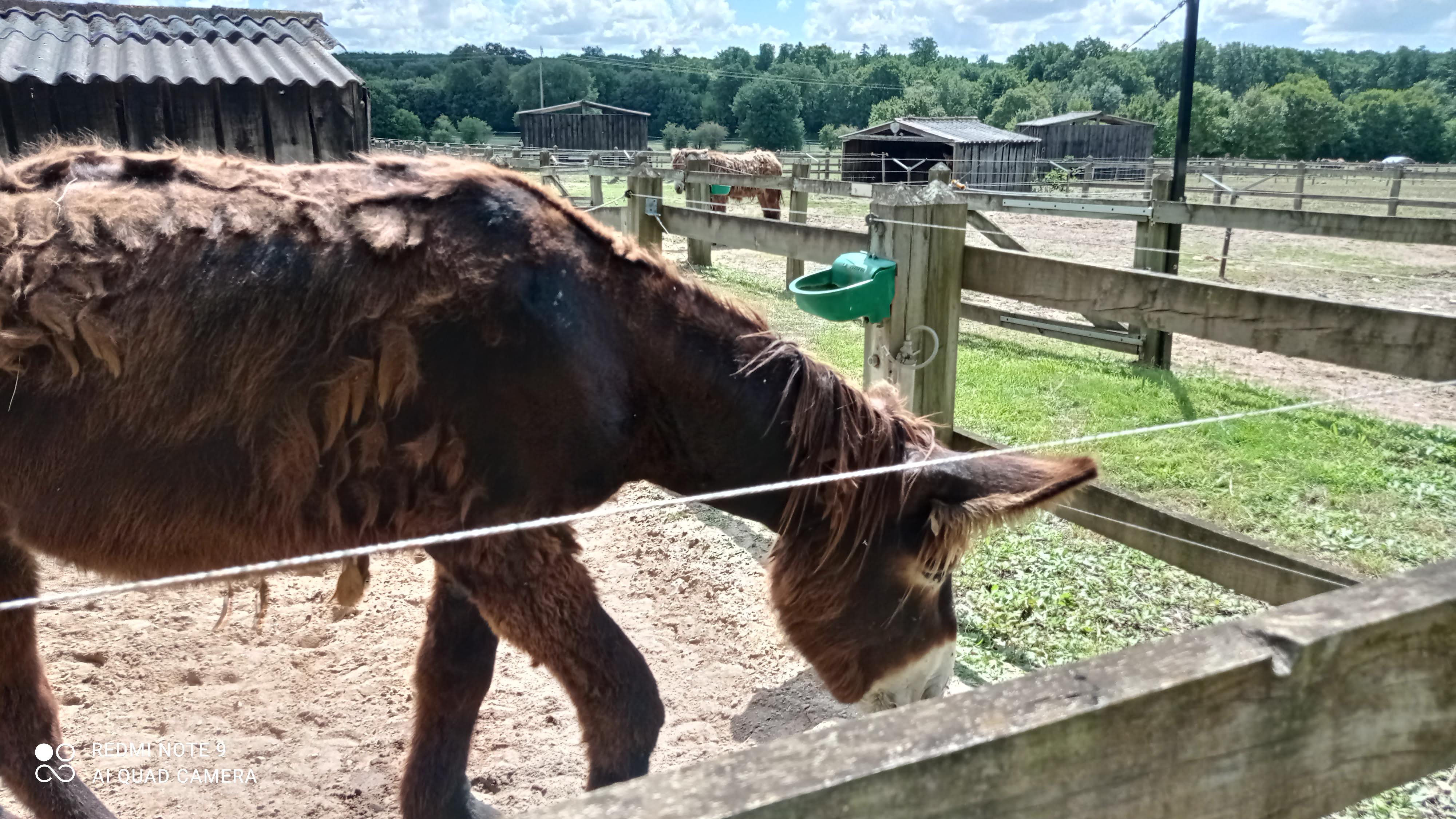 Photo n° 3 de l'avis de Anthony.o fait le 19/08/2020 à 17:18