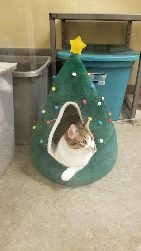 Pet Supply Store «Petco Animal Supplies», reviews and photos, 280 Kensington Blvd, Slidell, LA 70458, USA