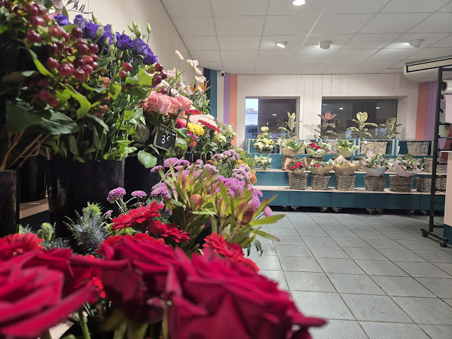 Oh! Les Fleurs - Artisan fleuriste La Madeleine - Lille