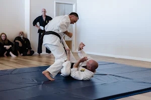 The Martial Arts Academy of Marin image