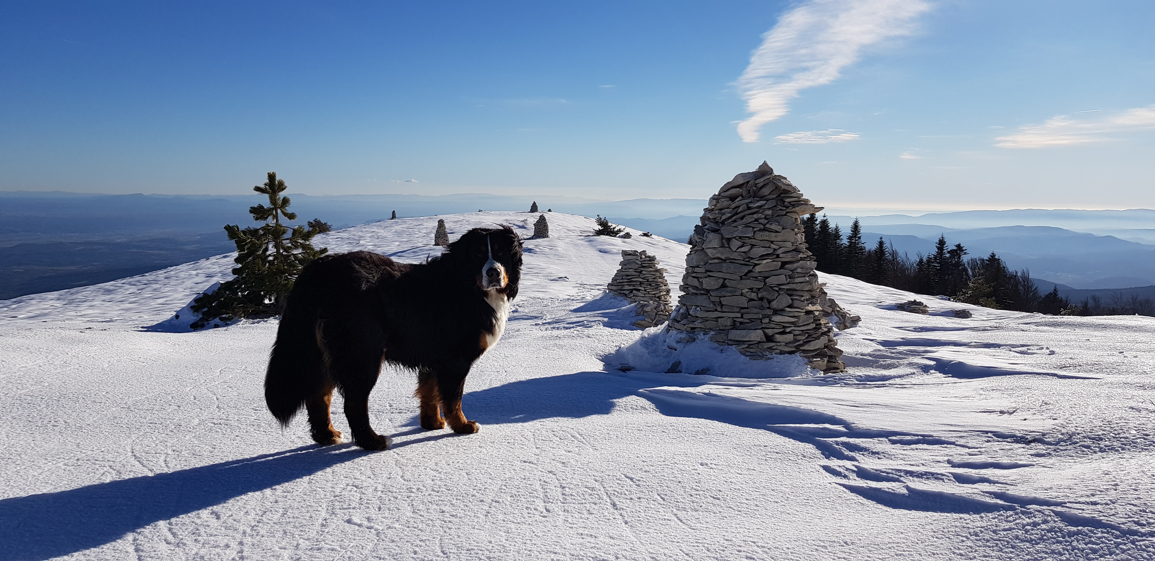 Photo n° 4 de l'avis de Joe.o fait le 04/02/2019 à 22:04