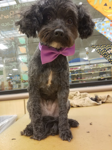 Pet Supply Store «PetSmart», reviews and photos, 1300 John F Kennedy Rd, Dubuque, IA 52002, USA