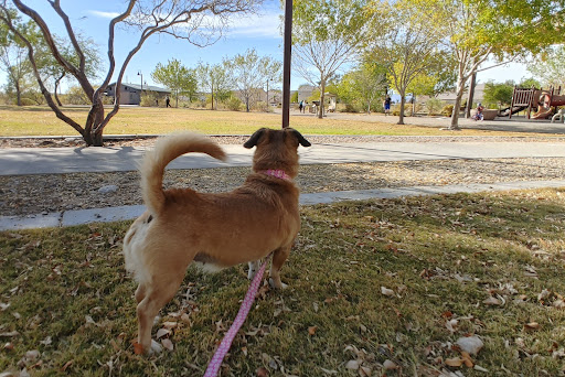 Park «Old Spanish Trail Park», reviews and photos, 8150 Tara Ave, Las Vegas, NV 89117, USA