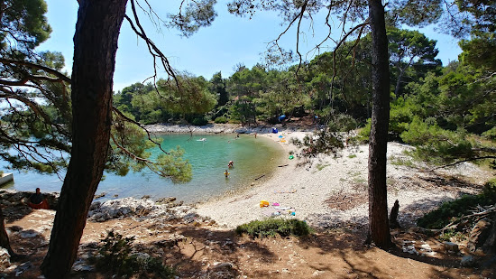 Plaza Zabodarski