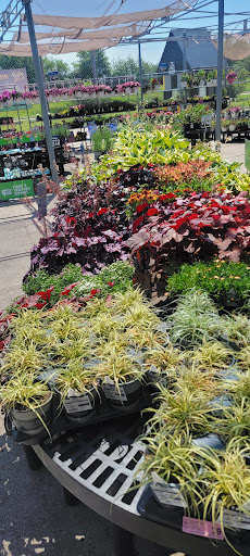 Department Store «Walmart Supercenter», reviews and photos, 150 Commerce Drive, Fairfield, IL 62837, USA