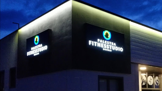 Palestra Fitness Studio Via Anselma, 47 BIS, 46030 Dosolo MN, Italia