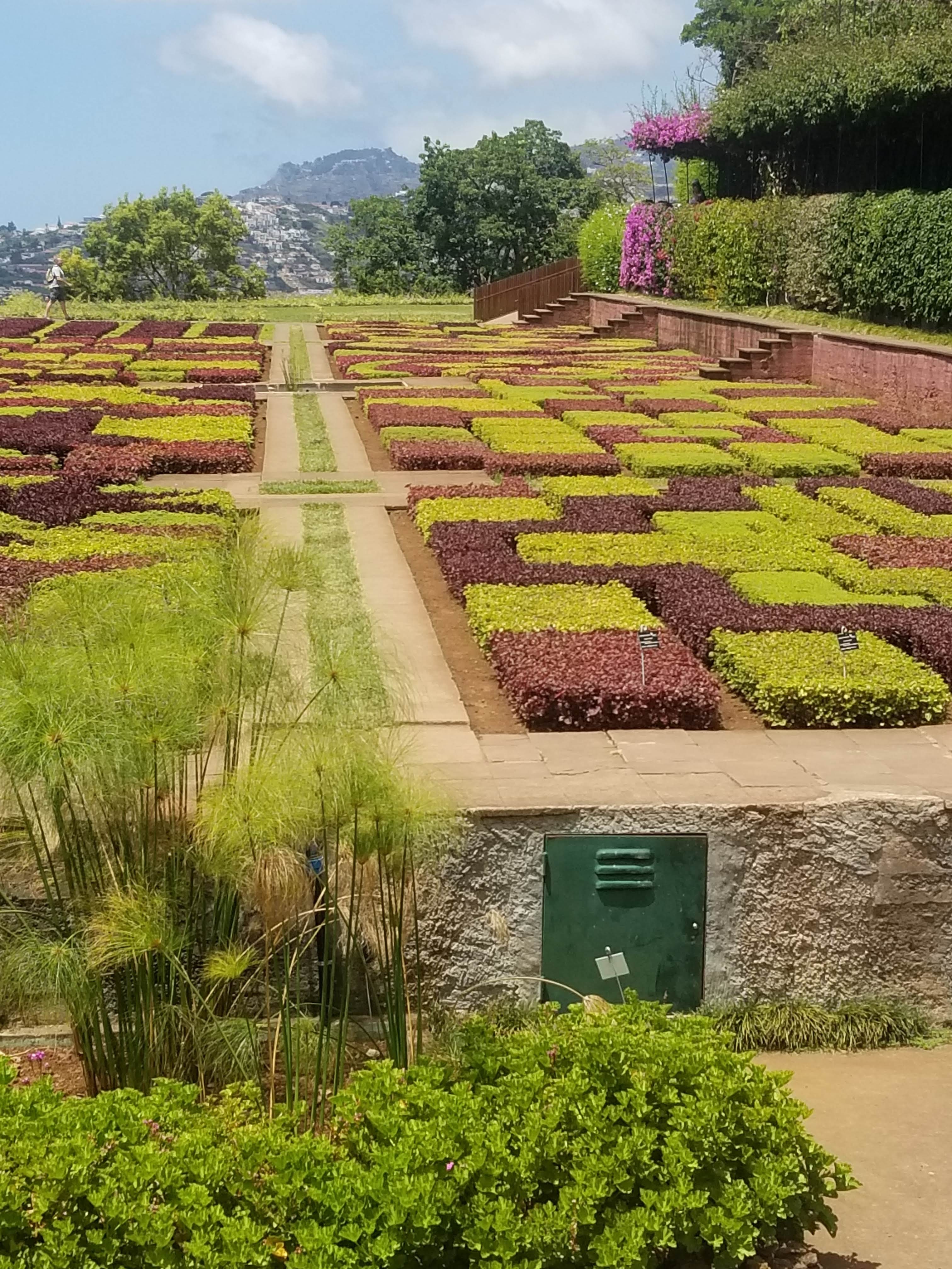 Photo n° 10 de l'avis de co.A fait le 17/08/2021 à 13:26