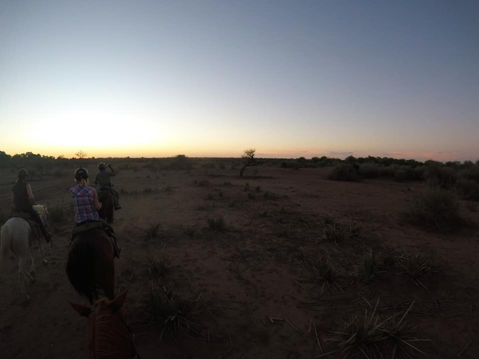 Photo n° 3 de l'avis de Mathilde.e fait le 13/11/2018 à 10:00