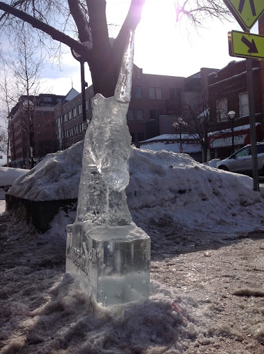 Outdoor Sports Store «Moosejaw», reviews and photos, 327 S Main St, Ann Arbor, MI 48104, USA