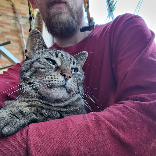 Bicycle Store «SPIN Bicycle Shop, Inc.», reviews and photos, 206 E Grand River Ave, Lansing, MI 48906, USA