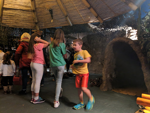 Amusement Center «JungleQuest», reviews and photos, 8000 S Lincoln St, Littleton, CO 80122, USA