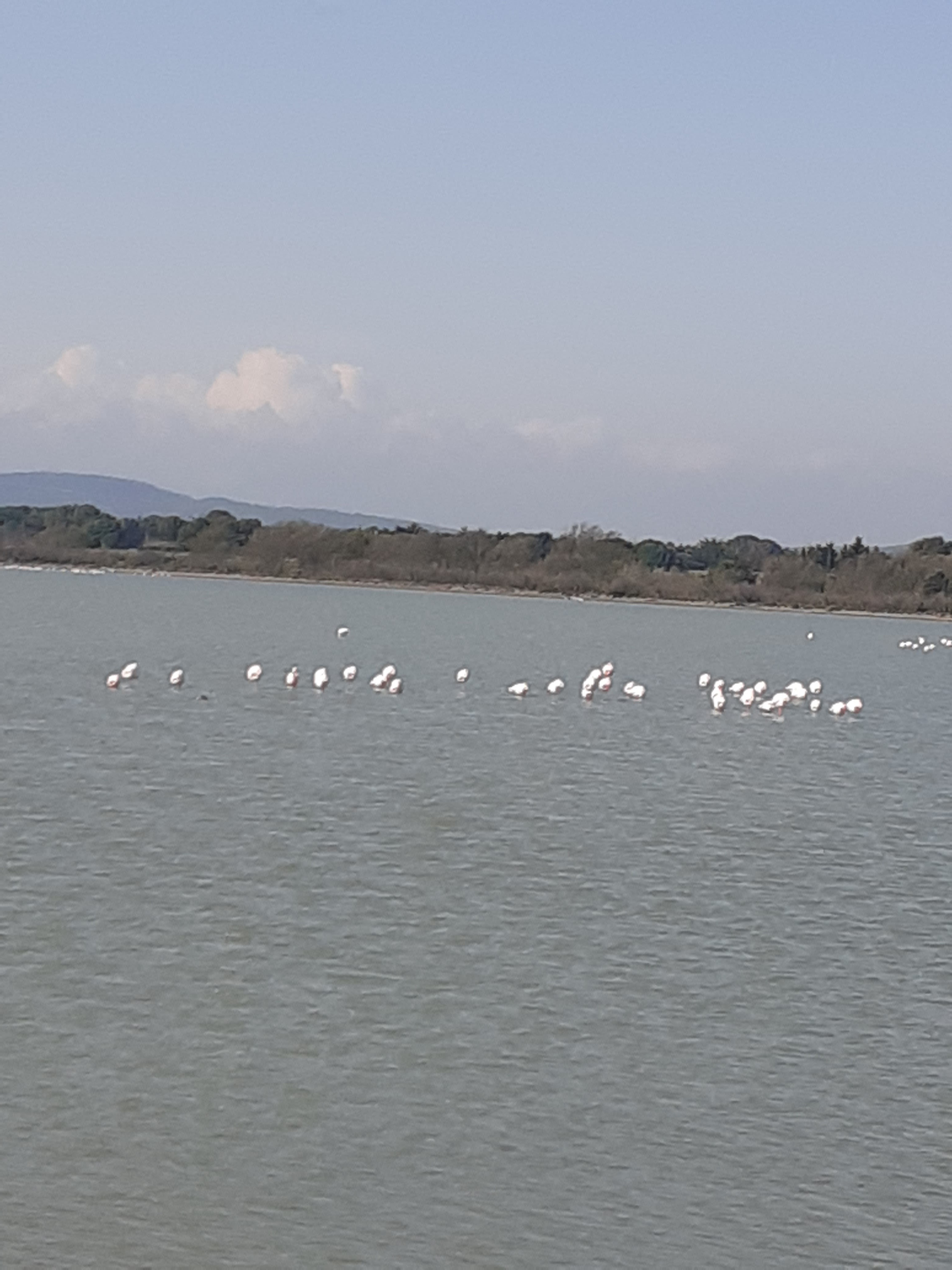 Photo n° 3 de l'avis de Els.r fait le 26/03/2022 à 11:59