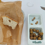 Photo n°3 de l'avis de K... fait le 05/05/2023 à 19:55 sur le  À Fateixa à Vila Nova de Milfontes