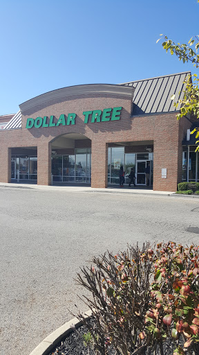 Dollar Store «Dollar Tree», reviews and photos, 5987 Hoover Rd, Grove City, OH 43123, USA