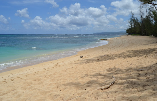 Polo Beach