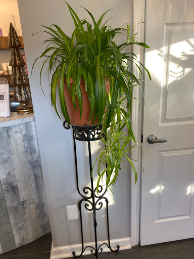 Hair Salon «L.A. Hair», reviews and photos, 209 Center St, Wallingford, CT 06492, USA