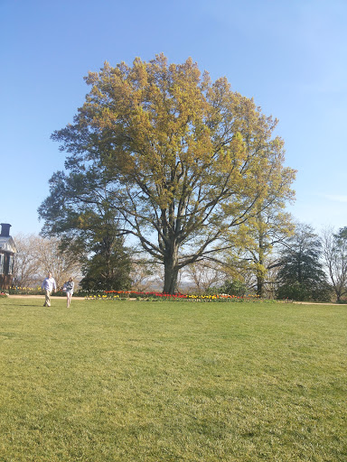 Historical Landmark «Monticello», reviews and photos, 931 Thomas Jefferson Pkwy, Charlottesville, VA 22902, USA