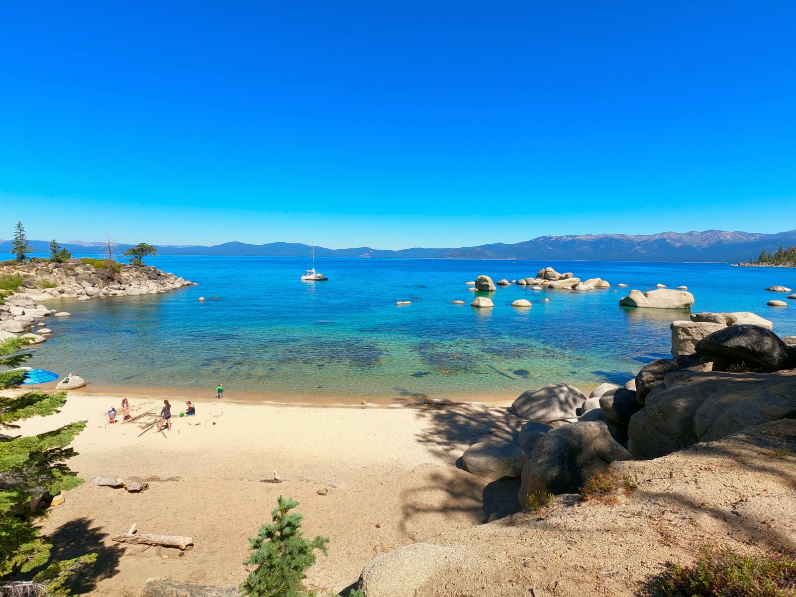 Photo of Whale Beach with bright sand surface