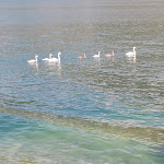 Photo n°25 de l'avis de Gianluca.i fait le 15/06/2019 à 14:49 sur le  Blue Lake à Carzano