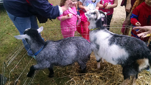 Community Park «Wells Mills County Park», reviews and photos, 905 Wells Mills Rd, Waretown, NJ 08758, USA