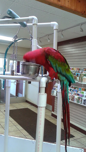 Car Wash «Paradise Full Service Car Wash & Detail Center», reviews and photos, 9201 Lyndale Ave S, Minneapolis, MN 55420, USA