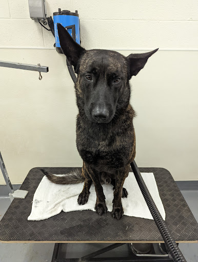 Pet Supply Store «Centinela Feed & Pet Supplies», reviews and photos, 11055 W Pico Blvd, Los Angeles, CA 90064, USA