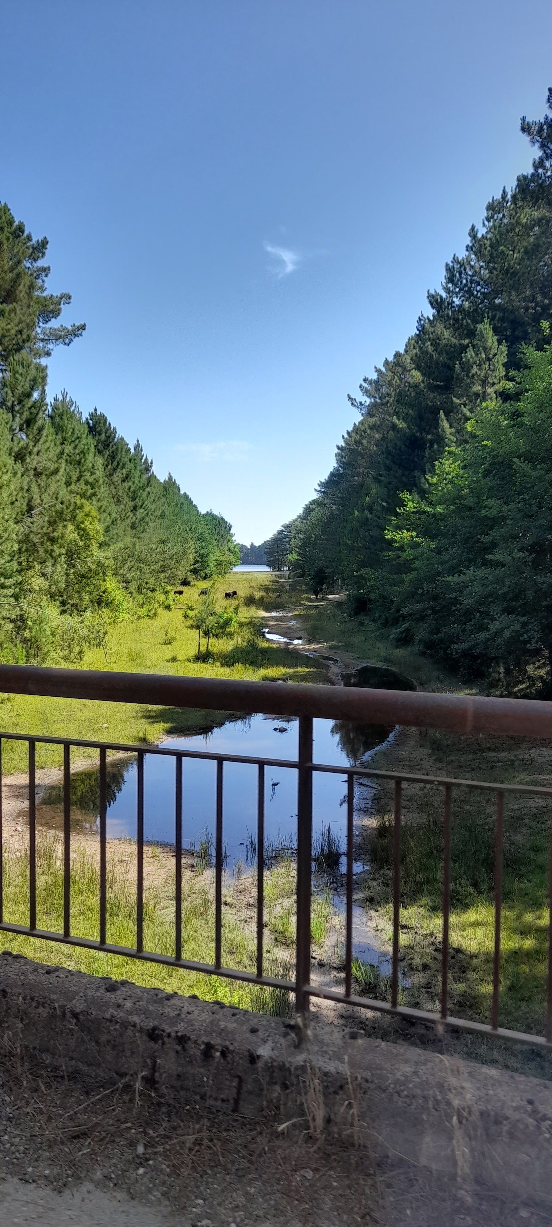 Photo n° 5 de l'avis de Thibault.E fait le 22/07/2023 à 11:07