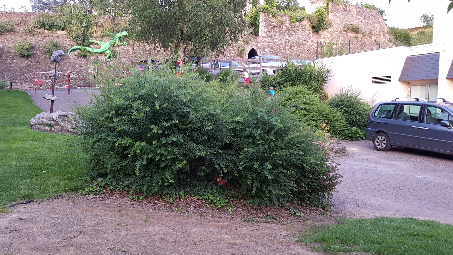 Photo n° 1 de l'avis de Axel.o fait le 15/06/2018 à 19:54