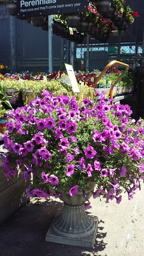 Home Improvement Store «The Home Depot», reviews and photos, 2801 James Sanders Blvd, Paducah, KY 42001, USA