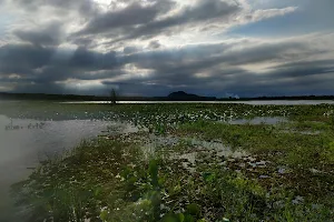 Lagoa do Sombrio image