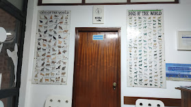 Consultório Veterinário da Portela