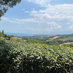 Photo n°1 de l'avis de orlando.i fait le 30/07/2022 à 11:11 sur le  Bar Trattoria Rosso Conero à Sirolo