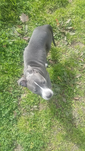 RV Park «Dallas Hi Ho RV Park», reviews and photos, 200 West Bear Creek, Glenn Heights, TX 75154, USA