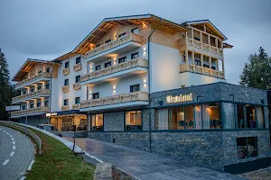 Hotel Ursulețul image