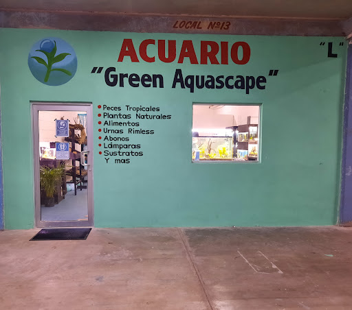 Acuario Green Aquascape
