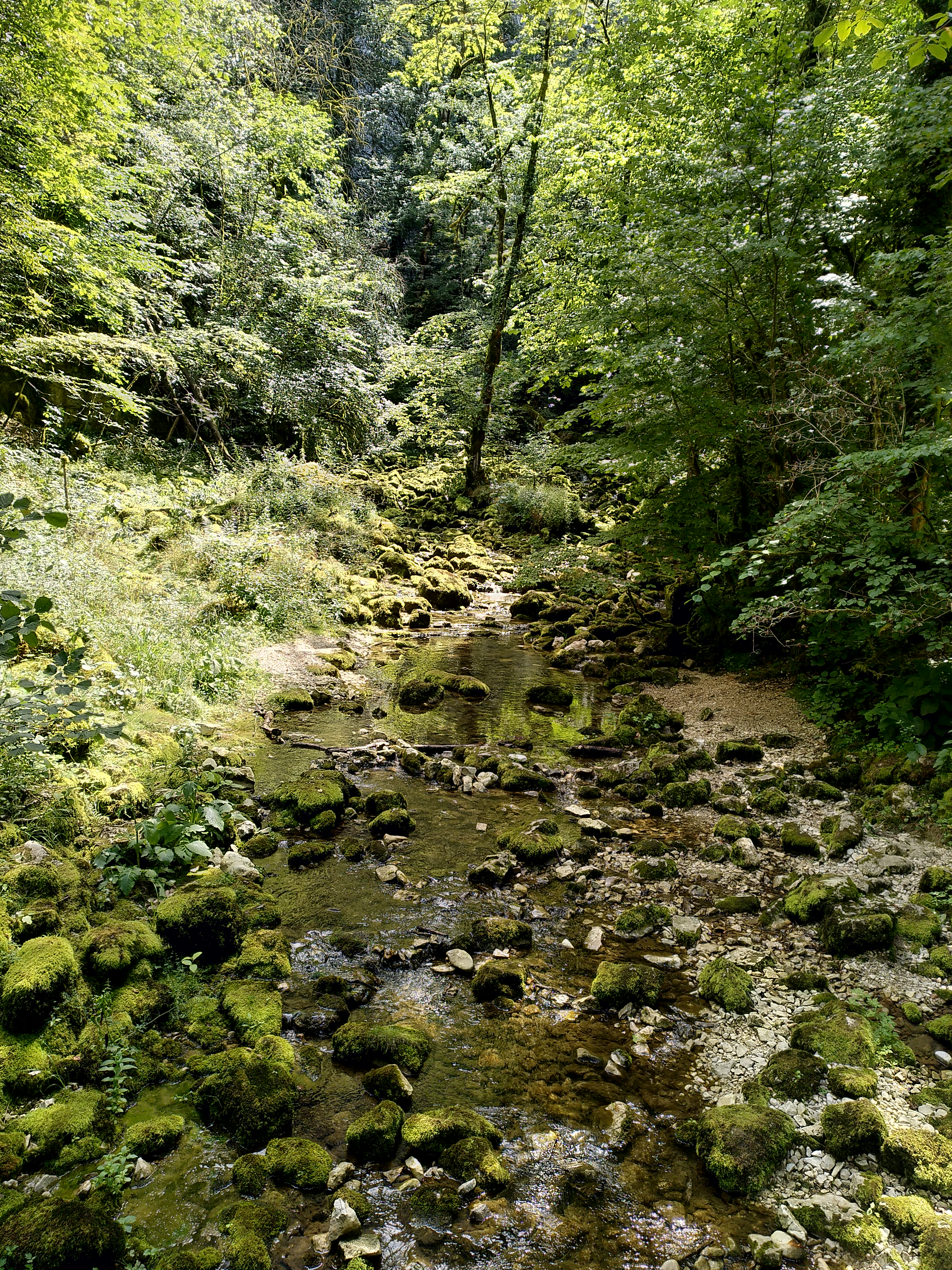 Photo n° 3 de l'avis de Fabien.i fait le 05/08/2023 à 19:56