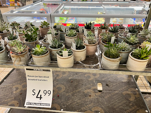 Supermarket «ALDI», reviews and photos, 7701 Olive Blvd, University City, MO 63130, USA