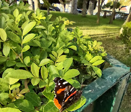 Parque Independencia photo