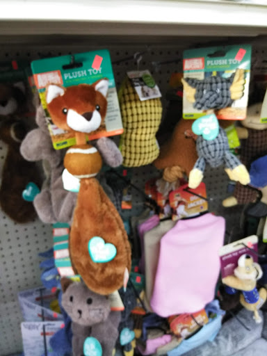 Variety Store «Dollar Castle», reviews and photos, 29611 Ford Rd, Garden City, MI 48135, USA