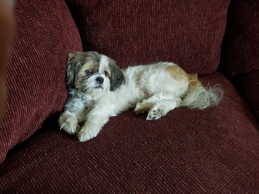 Pet Supply Store «Petco Animal Supplies», reviews and photos, 1835 E Guadalupe Rd #112, Tempe, AZ 85283, USA