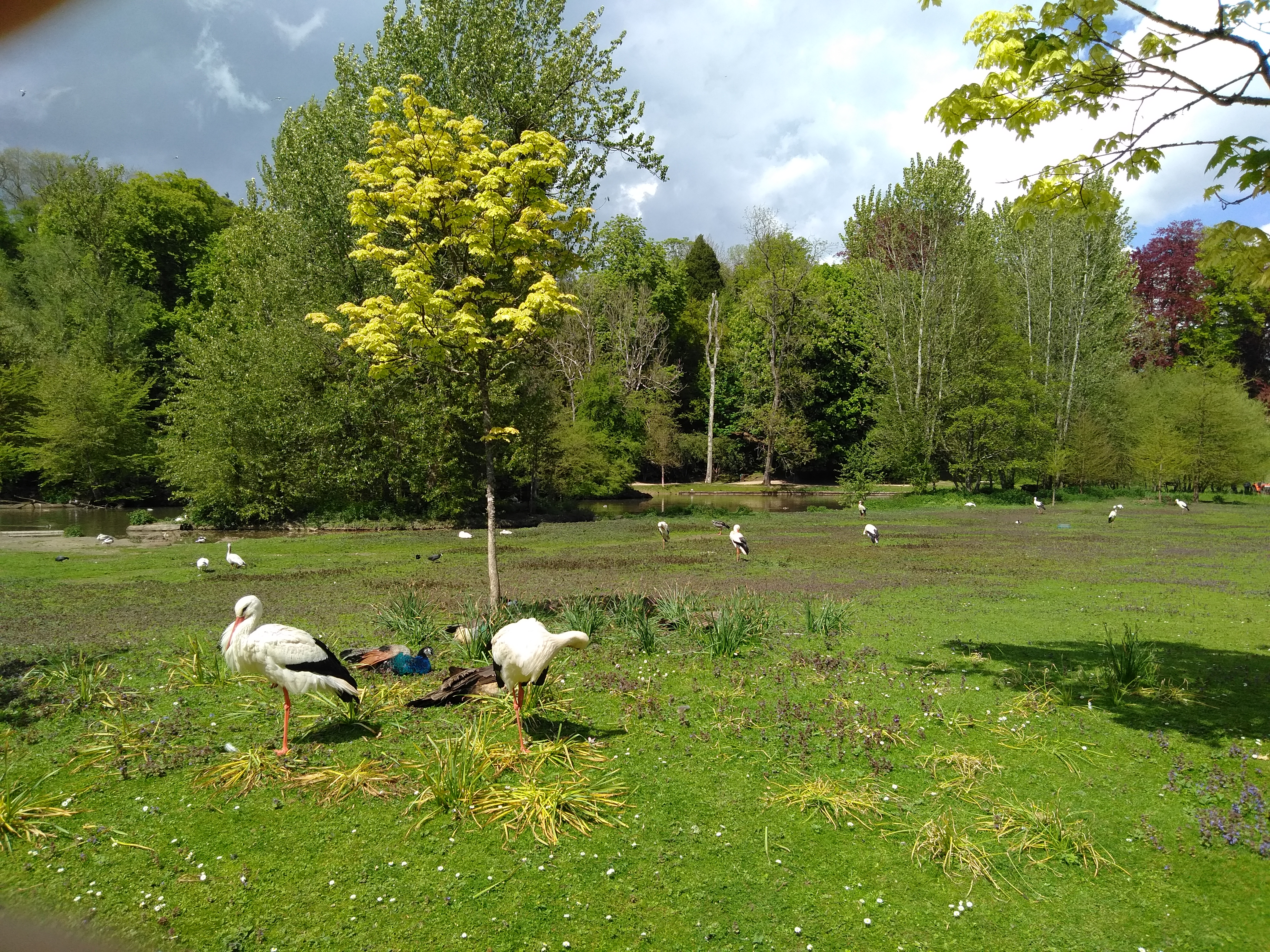 Photo n° 20 de l'avis de Francois.u fait le 08/05/2019 à 16:10