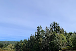 Sooke River Trail