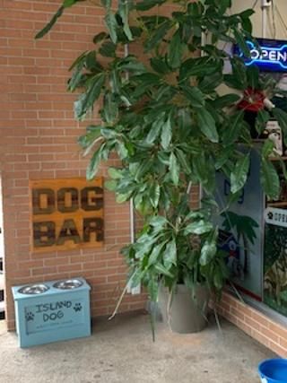 Pet Store «Island Dog», reviews and photos, 410 Mallery St, Saint Simons Island, GA 31522, USA