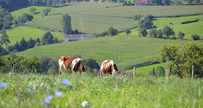 GAEC Du Ptit Foin à Virigneux