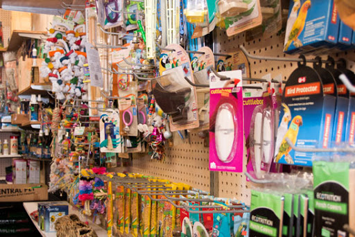 Pet Supply Store «Pet Foods Plus», reviews and photos, 495 Kings Hwy, Brooklyn, NY 11223, USA