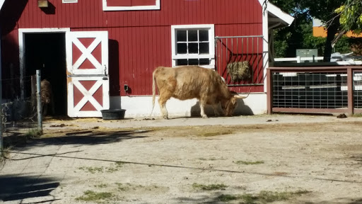 Zoo «Milwaukee County Zoo», reviews and photos, 10001 W Bluemound Rd, Milwaukee, WI 53226, USA