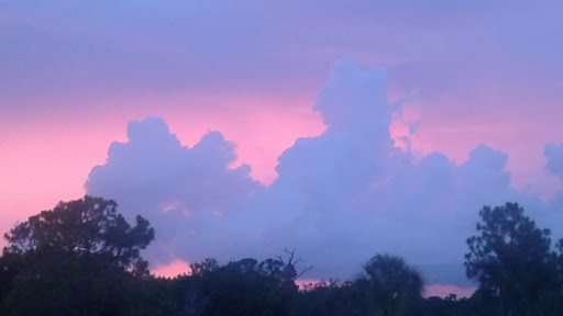 Golf Course «The Tides Golf Club», reviews and photos, 11832 66th Ave N, Seminole, FL 33772, USA