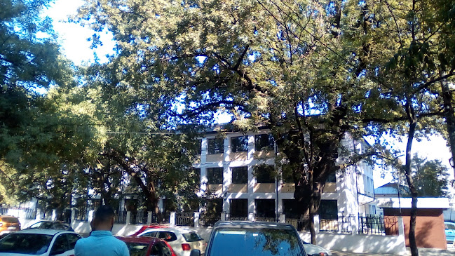 Școala Duiliu Zamfirescu - <nil>